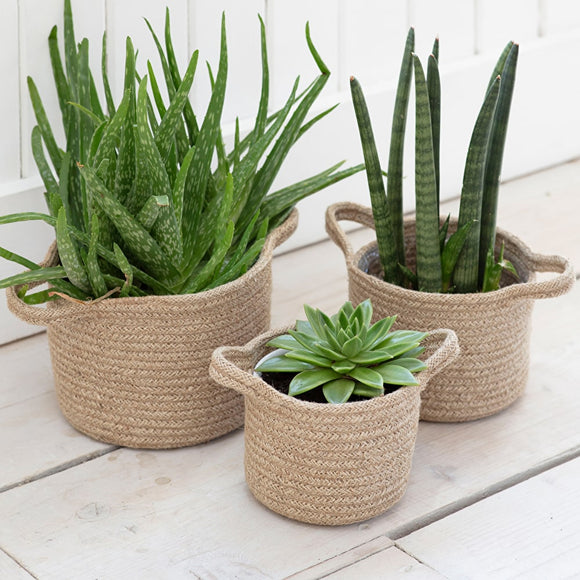 Woven Plant Pot Large