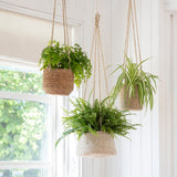 Seagrass Hanging Planter