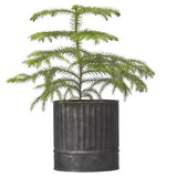 Vertical Ribbed Zinc Planter Small