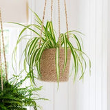 Jute Hanging Planter