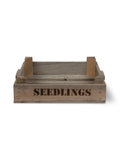 Seedlings Tray